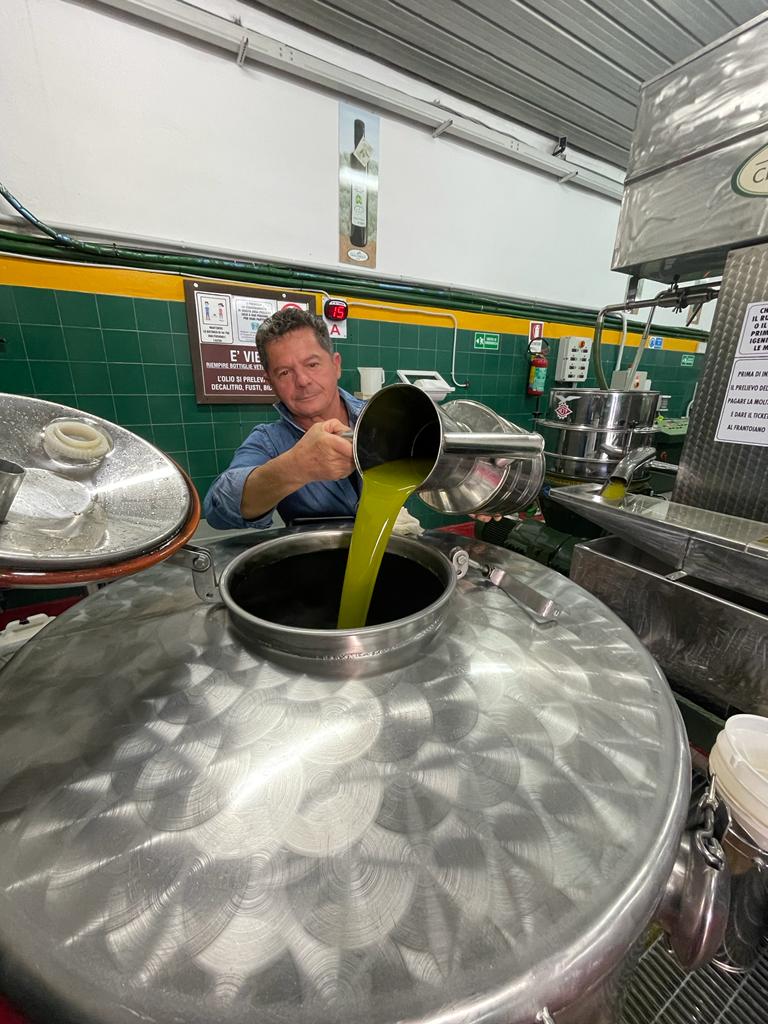 processing olive oil